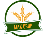 Max Crop wheat seeds
