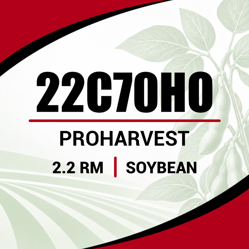 Soybean seed provider