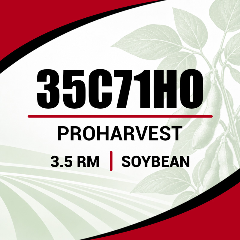Soybean seed provider