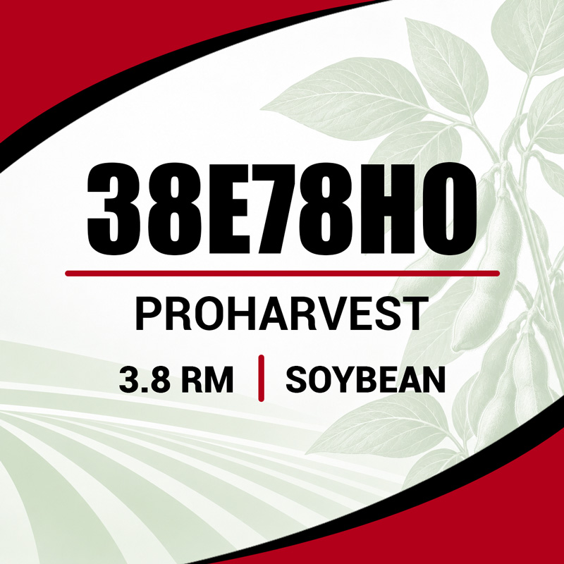 Soybean seed provider